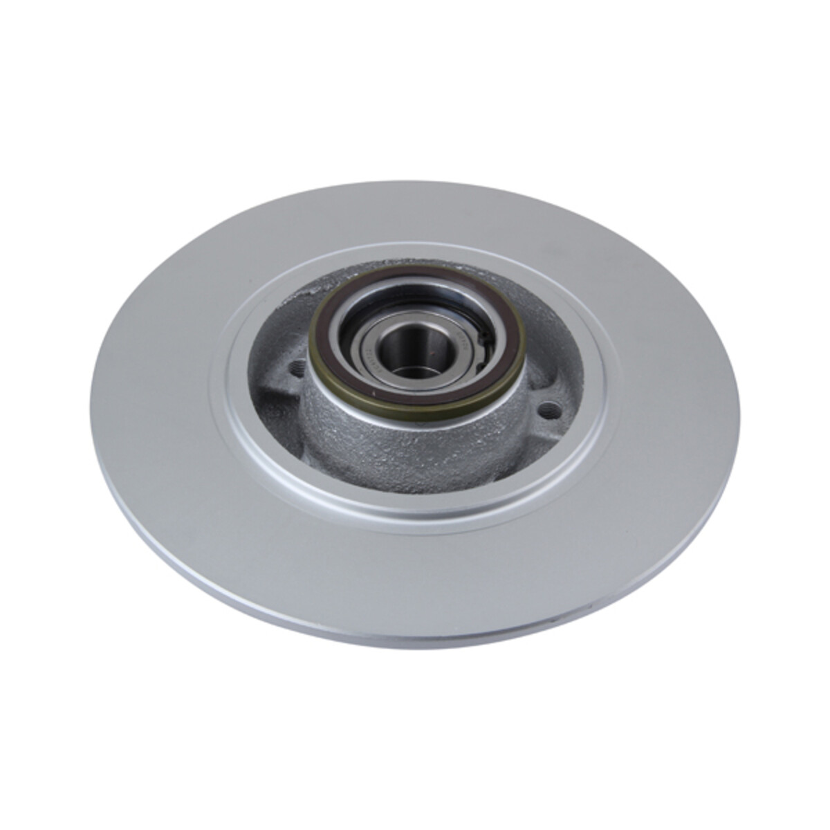 BRAKE DISC X1 WITH BRG REN MEG 3 RR